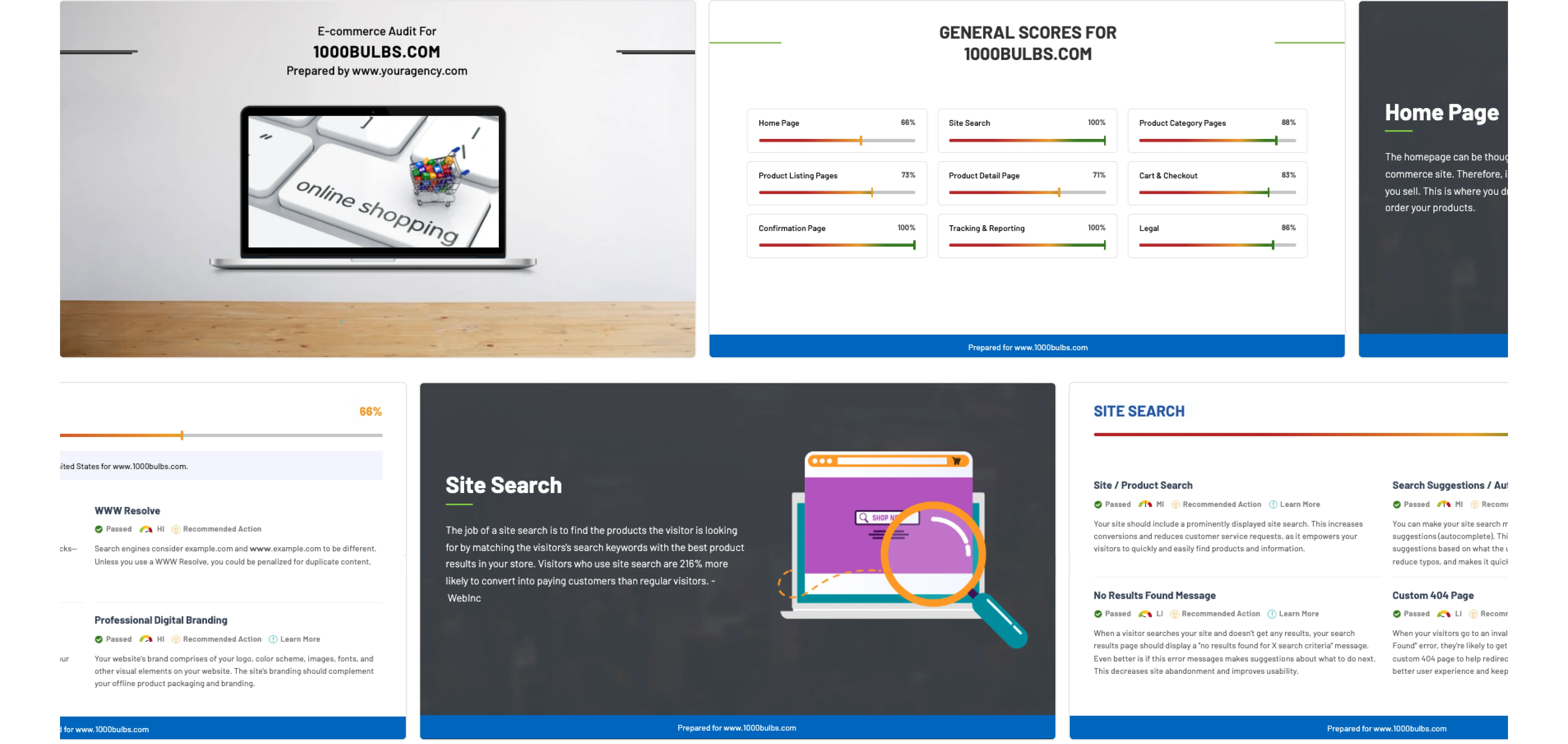 Ecommerce audit presentation view