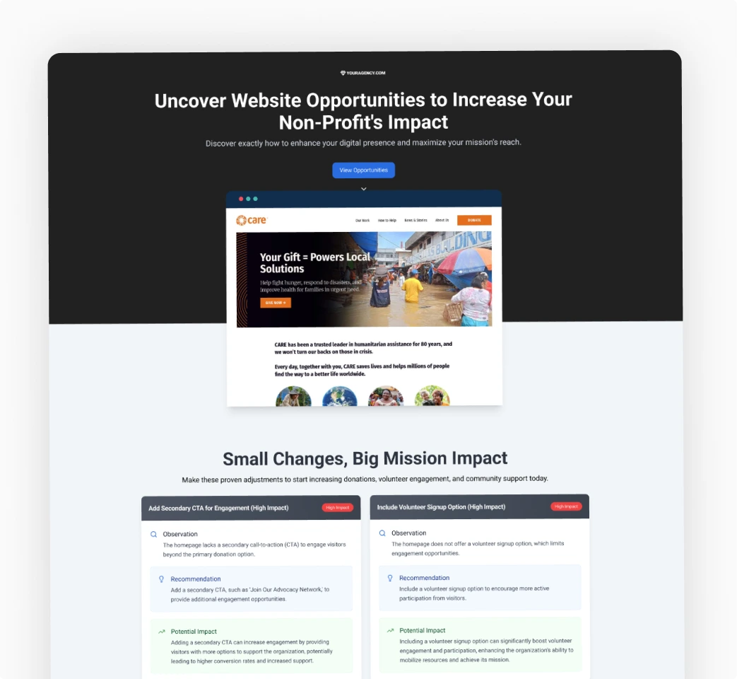 Non-Profit Website lead magnet